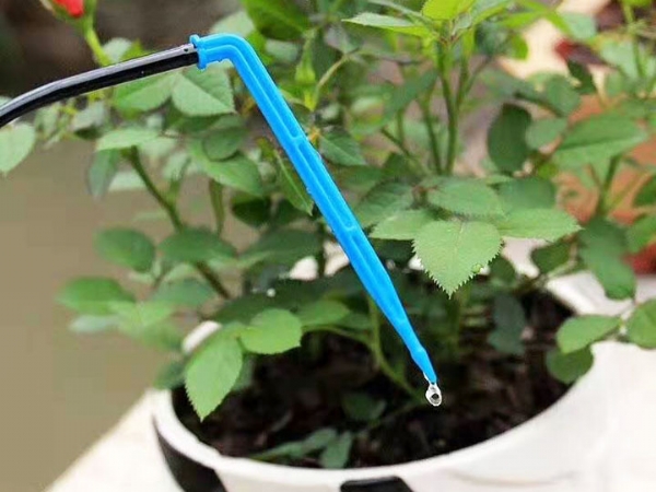 花卉滴箭效果